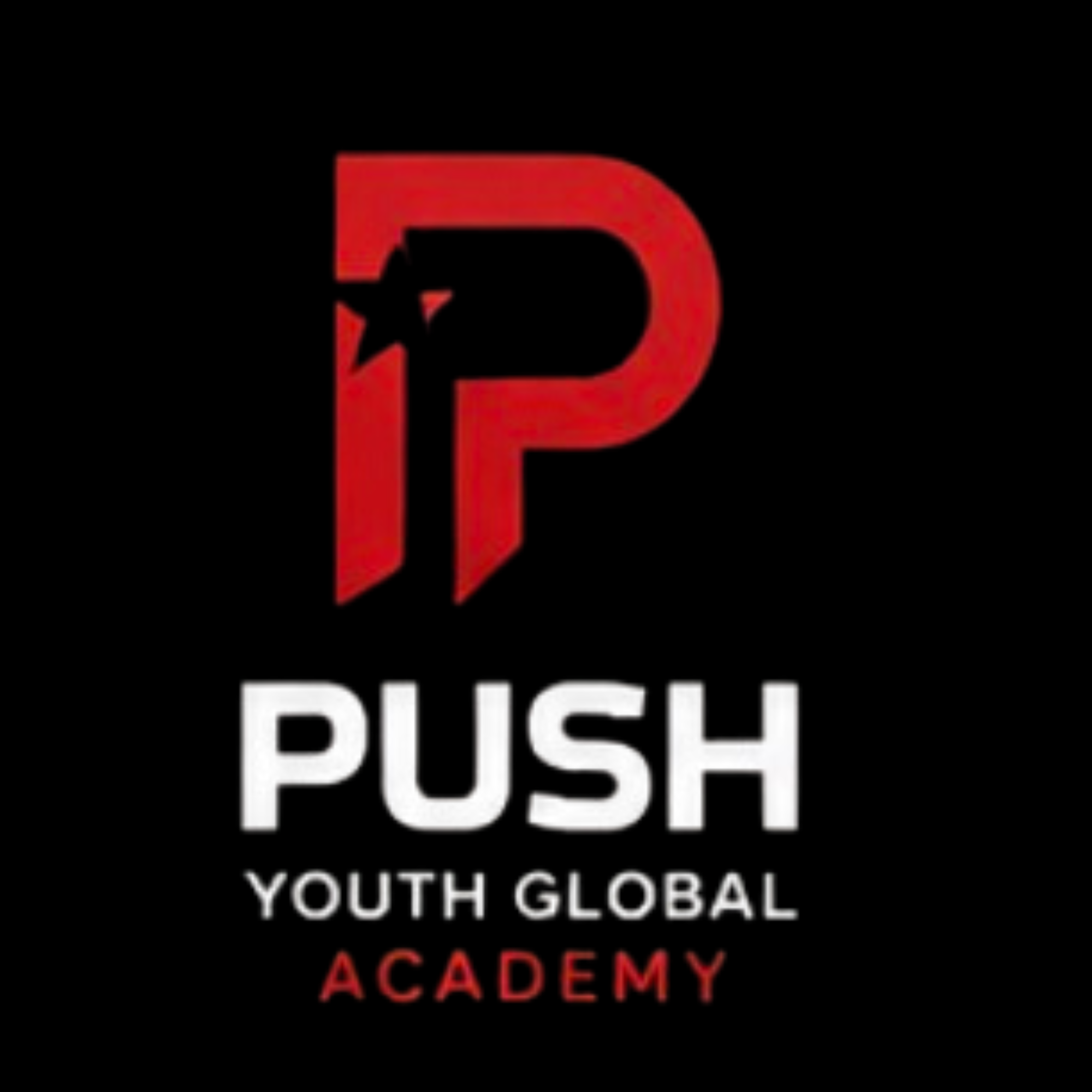 PUSH Youth Global Academy